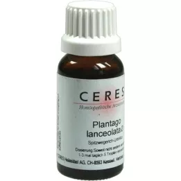CERES Plantago lanceolata modertinktur, 20 ml