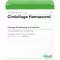 CIMICIFUGA HOMACCORD Ampuller, 10 stk