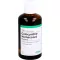 COLOCYNTHIS HOMACCORD Dråber, 100 ml