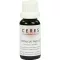 CERES Sambucus nigra modertinktur, 20 ml