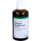 DROSERA HOMACCORD Dråber, 100 ml