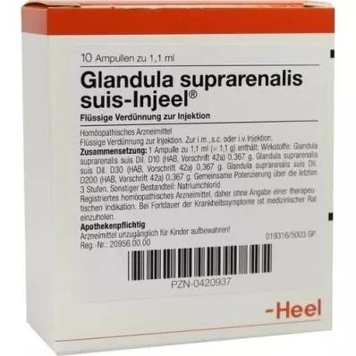 GLANDULA SUPRARENALIS suis Injeel ampuller, 10 stk