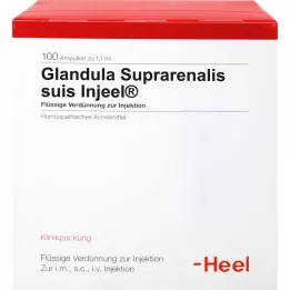GLANDULA SUPRARENALIS suis Injeel ampuller, 100 stk