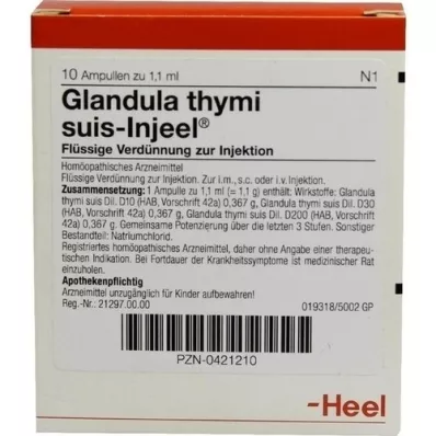 GLANDULA THYMI suis Injeel ampuller, 10 stk
