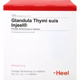 GLANDULA THYMI suis Injeel ampuller, 100 stk