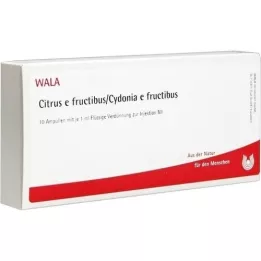 CITRUS E FRUCTIBUS/Cydonia e fructibus ampuller, 10X1 ml