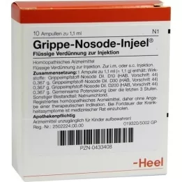 GRIPPE NOSODE Injeel ampuller, 10 stk