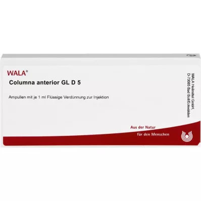 COLUMNA anterior GL D 5 ampuller, 10X1 ml