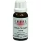 CERES Ginkgo dryopteris comp. dråber, 20 ml