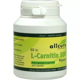 L-CARNITIN KAPSELN 500, 60 stk