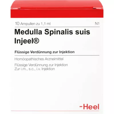 MEDULLA SPINALIS suis Injeel ampuller, 10 stk