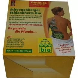 SCHLANKHEITSKUR Fruity Schoenenberger, 1 s
