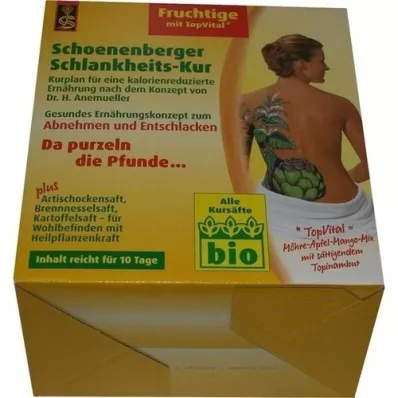 SCHLANKHEITSKUR Fruity Schoenenberger, 1 s