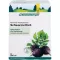 SCHWARZRETTICH Schoenenberger medicinsk plantejuice, 3X200 ml