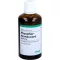 PHOSPHOR HOMACCORD Dråber, 100 ml