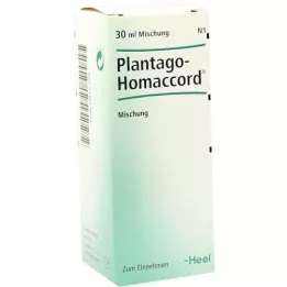 PLANTAGO HOMACCORD Dråber, 30 ml