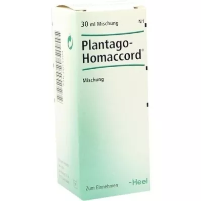 PLANTAGO HOMACCORD Dråber, 30 ml
