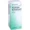 PLANTAGO HOMACCORD Dråber, 30 ml
