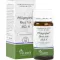 PFLÜGERPLEX Rhus tox.353 H tabletter, 100 stk