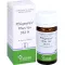 PFLÜGERPLEX Rhus tox.353 H tabletter, 100 stk