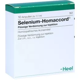 SELENIUM HOMACCORD Ampuller, 10 stk