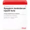 SYZYGIUM JAMBOLANUM INJEEL forte ampuller, 10 stk