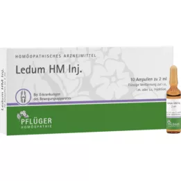 LEDUM HM Injicer ampuller, 10 stk