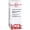 STIBIUM SULFURATUM NIGRUM D 8 Fortynding, 50 ml