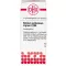 STIBIUM SULFURATUM NIGRUM C 200 kugler, 10 g