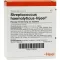 STREPTOCOCCUS HAEMOLYTICUS Injeel ampuller, 10 stk