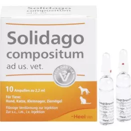 SOLIDAGO COMPOSITUM ad us.vet.ampuller, 10 stk