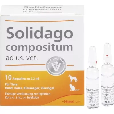SOLIDAGO COMPOSITUM ad us.vet.ampuller, 10 stk