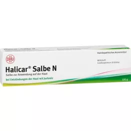 HALICAR Salve N, 100 g