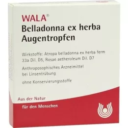 BELLADONNA EX HERBA Øjendråber, 5X0,5 ml