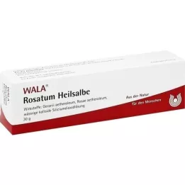 ROSATUM Helbredende salve, 30 g