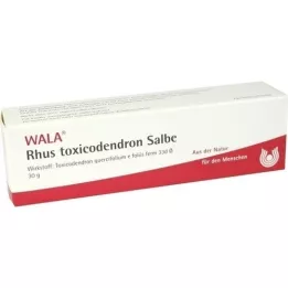 RHUS TOXICODENDRON SALVE, 30 g