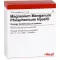 MAGNESIUM MANGANUM phosphoricum Injeel ampuller, 10 stk