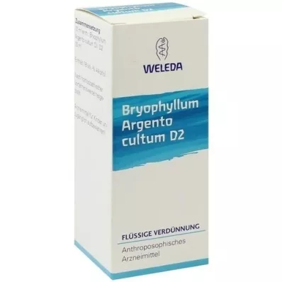 BRYOPHYLLUM ARGENTO cultum D 2 fortynding, 50 ml