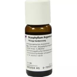 BRYOPHYLLUM ARGENTO cultum D 3 fortynding, 50 ml
