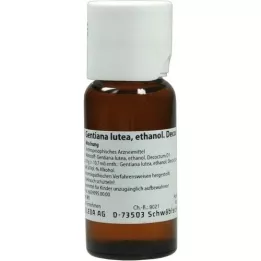 GENTIANA LUTEA 5% blanding, 50 ml