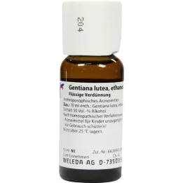 GENTIANA LUTEA D 1 fortynding, 50 ml
