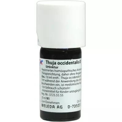 THUJA OCCIDENTALIS Moder tinktur, 20 ml