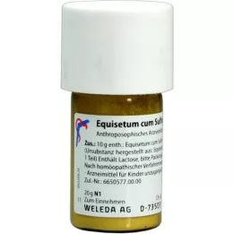 EQUISETUM CUM Svovl tostum D 6 Triturering, 20 g