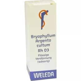 BRYOPHYLLUM ARGENTO cultum Rh D 3 Fortynding, 20 ml