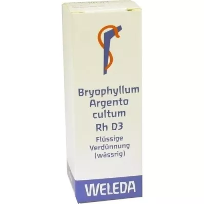 BRYOPHYLLUM ARGENTO cultum Rh D 3 Fortynding, 20 ml