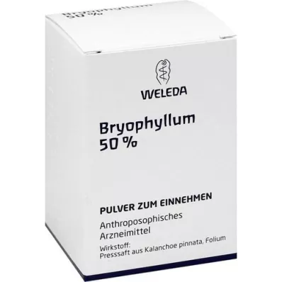 BRYOPHYLLUM 50 % oralt pulver, 50 g