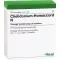 CHELIDONIUM-HOMACCORD N ampuller, 10 stk