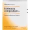 ECHINACEA COMPOSITUM SN Ampuller, 10 stk