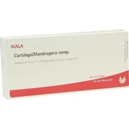 CARTILAGO/Mandragora komp. Ampuller, 10X1 ml