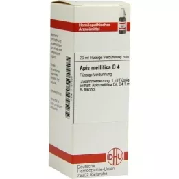 APIS MELLIFICA D4-fortynding, 20 ml